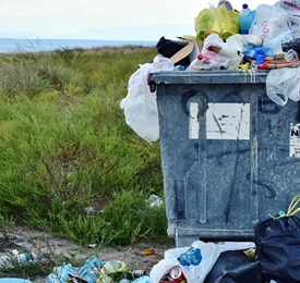 Quizz Cinéma Ecologie Kinexpo - Pixabay Rita E